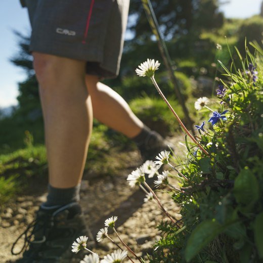 Wandern Bayrischzell, © Dietmar Denger