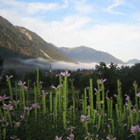 Hebstlicher Morgennebel zieht ab, © im-web.de/ Tourist-Information Bayrischzell