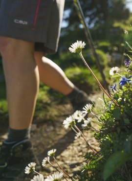 Wandern Bayrischzell, © Dietmar Denger