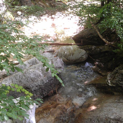 Willy_WasserfallMAG0695.jpg