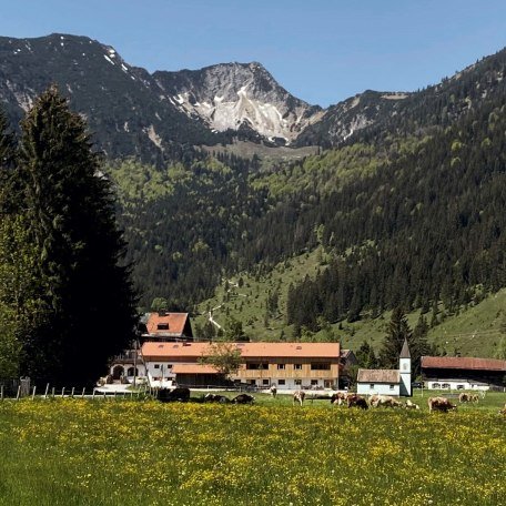 Schmiedhof mit Aiplspitz, © im-web.de/ Tourist-Information Bayrischzell