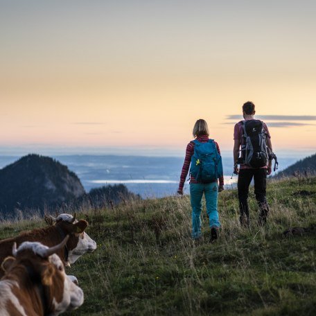 lowres-wandern-sudelfeld_dietmar-denger-1