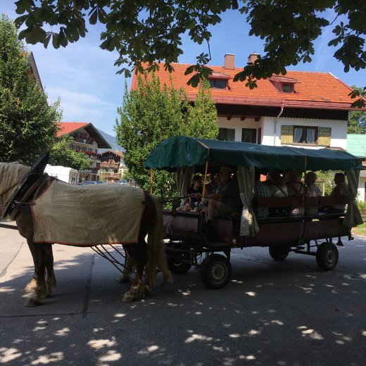 kutschfahrt-ort-schnegg
