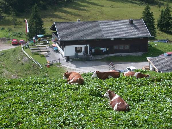 Berggasthof Ackernalm