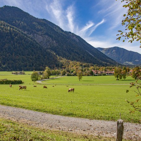 Weg Tannerfeld, © Michael Freyermuth Weg Tannerfeld, © Michael Freyermuth