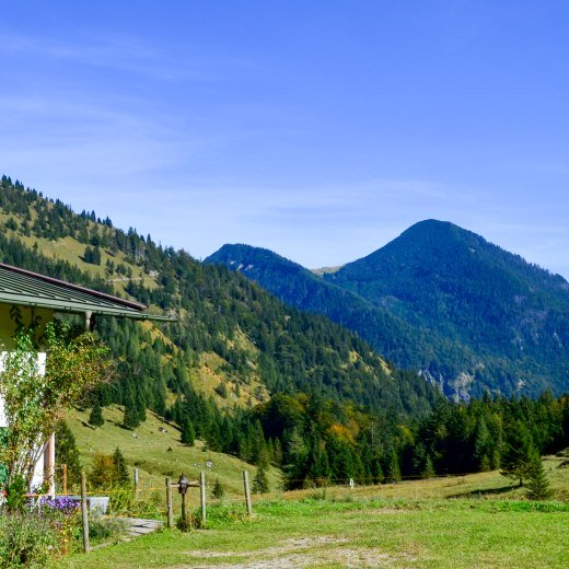 niederhofer-alm