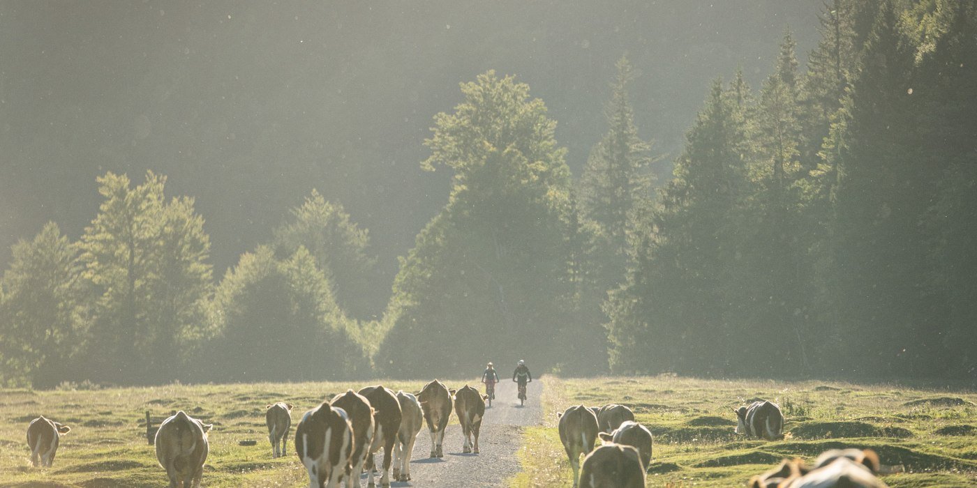 lowres-mtb-kloo-ascher-tal-34