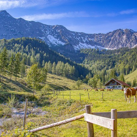 Grundalm, &copy; Michael Freyermuth