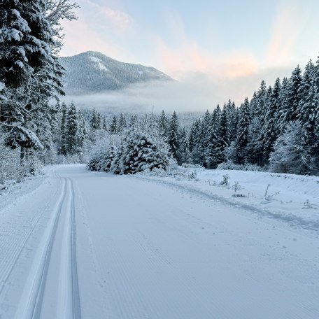 Frische Loipe am Morgen