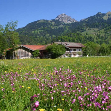 https://d1pgrp37iul3tg.cloudfront.net/objekt_pics/obj_full_28239_006.jpg, © im-web.de/ Tourist-Information Bayrischzell