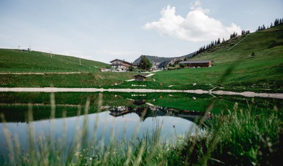 speck-alm_1 speck-alm_1