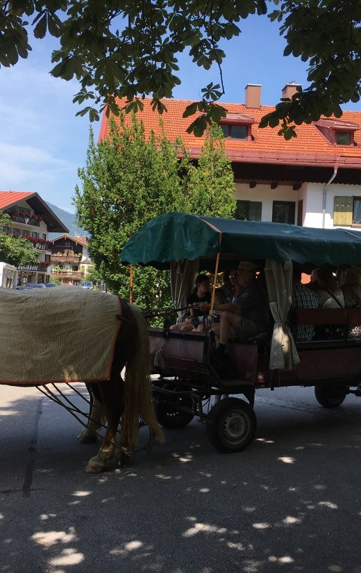 kutschfahrt-ort-schnegg