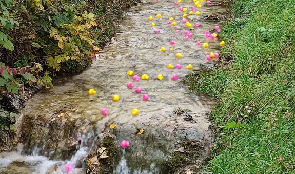 antn-rennats antn-rennats