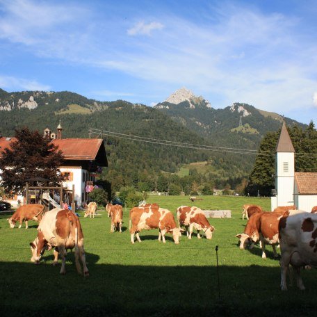 https://images.bs.ds-srv.net/objekt_pics/obj_full_28789_022.jpg, © im-web.de/ Tourist-Information Bayrischzell
