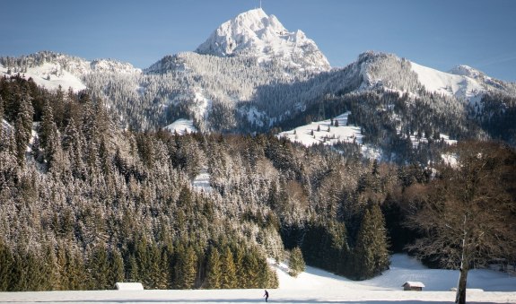 Zwischen Geitau und Bayrischzell, &copy; Alpenregion Tegernsee Schliersee