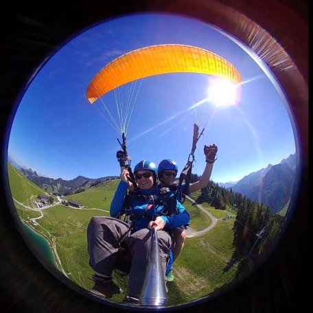 thomas-niggl thomas-niggl