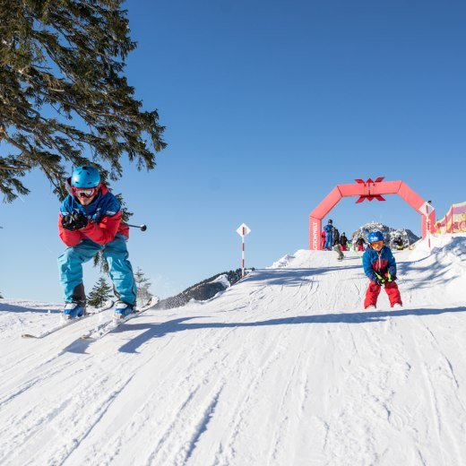 sf_familyactionday_2017_vollert_lowres-3639