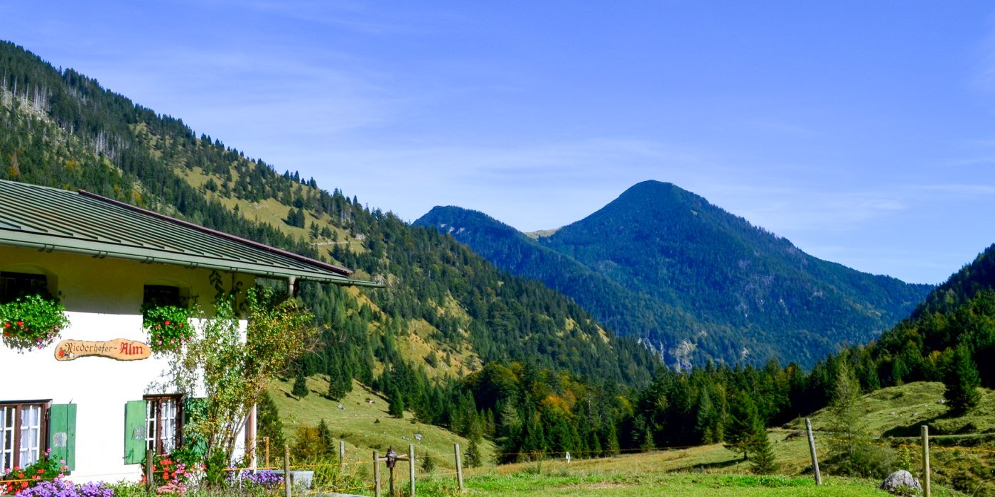 niederhofer-alm