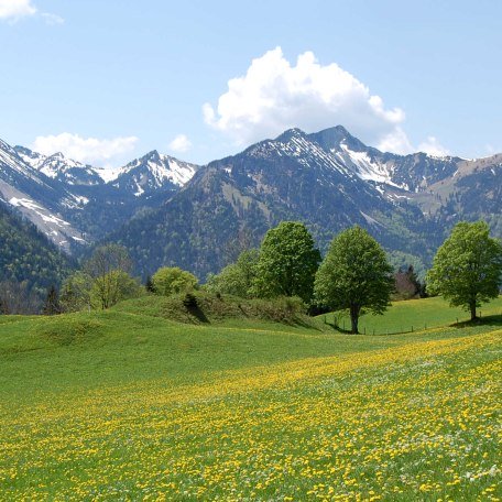 https://d1pgrp37iul3tg.cloudfront.net/objekt_pics/obj_full_28470_003.jpg, © im-web.de/ Tourist-Information Bayrischzell