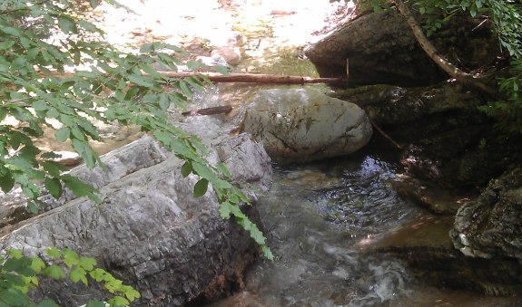 Willy_WasserfallMAG0695.jpg