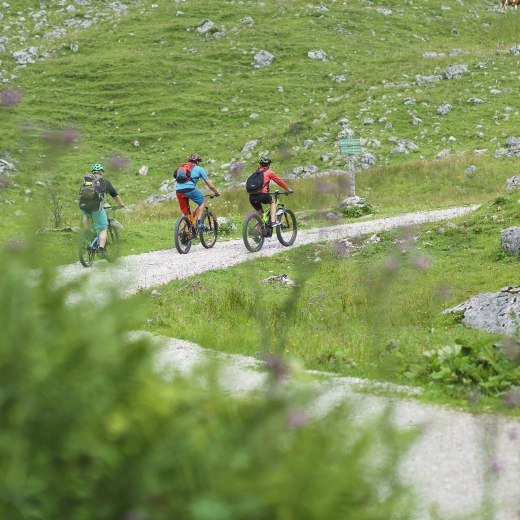 MTB Bayrischzell, © Dietmar Denger