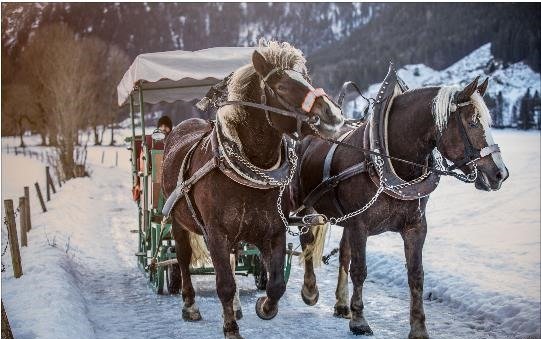 Kutschfahrt Winter Kutschfahrt Winter
