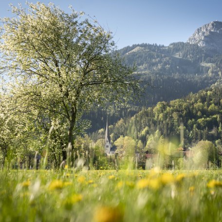 Bayrischzell Ursprungweg 3