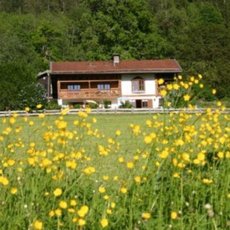 Blühende Wiesen, © im-web.de/ Kur- und Tourist-Info Bayrischzell