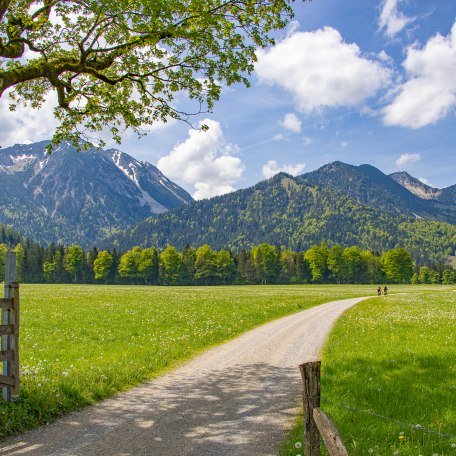 Weg Klarerhof, &copy; Michael Freyermuth