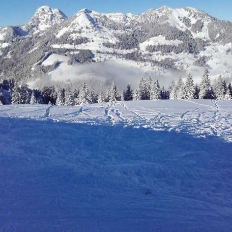 Ausblick, &copy; im-web.de/ Kur- und Tourist-Info Bayrischzell