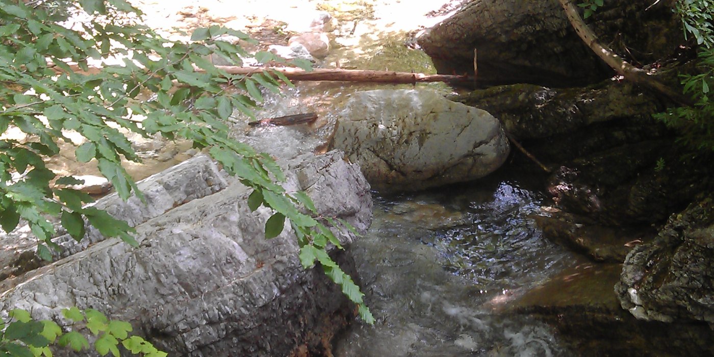 Willy_WasserfallMAG0695.jpg