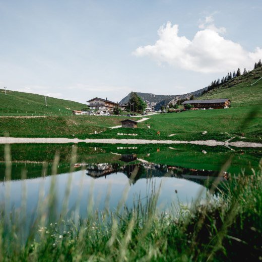 speck-alm_2