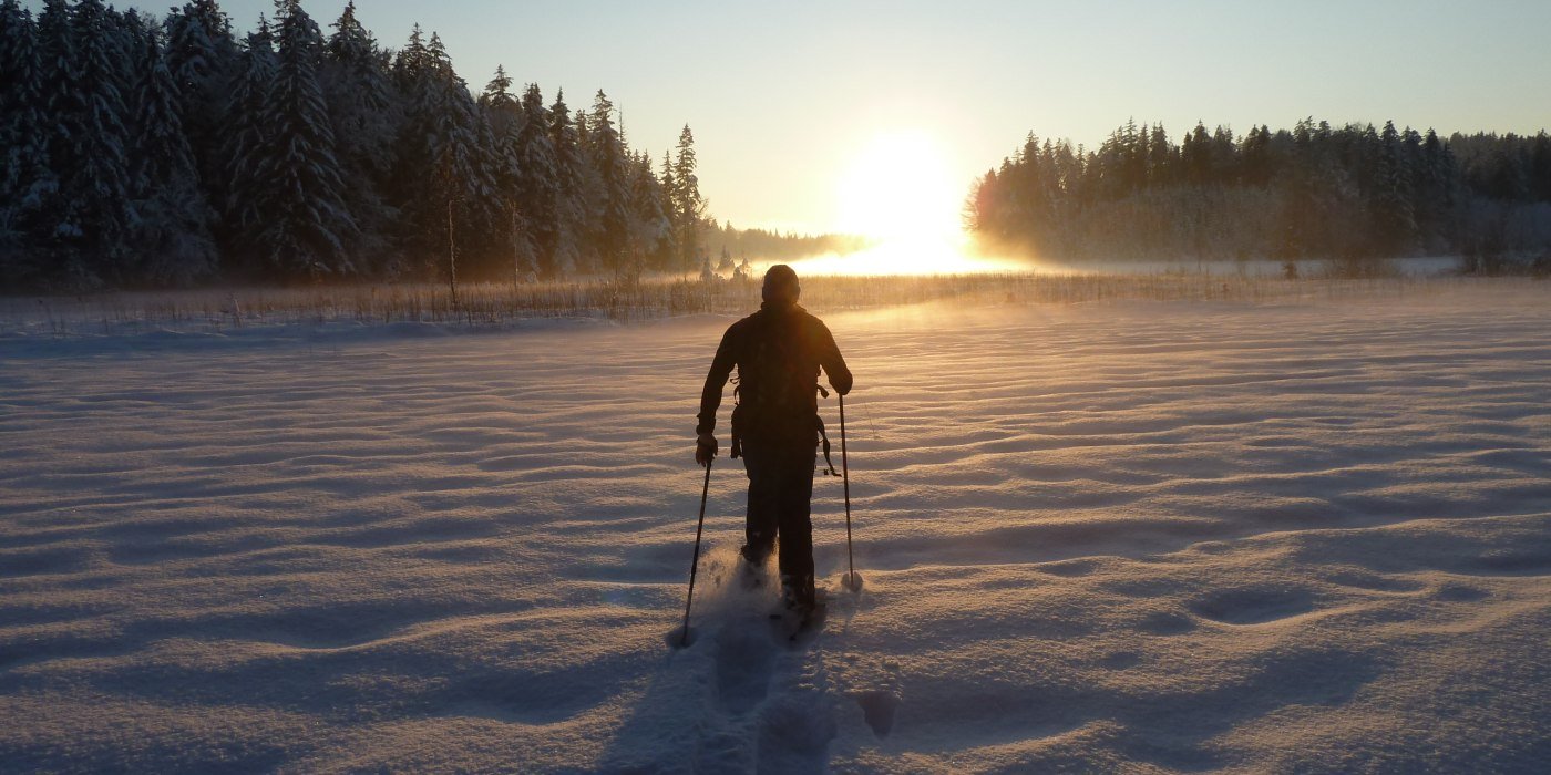 P1010052.JPG P1010052.JPG