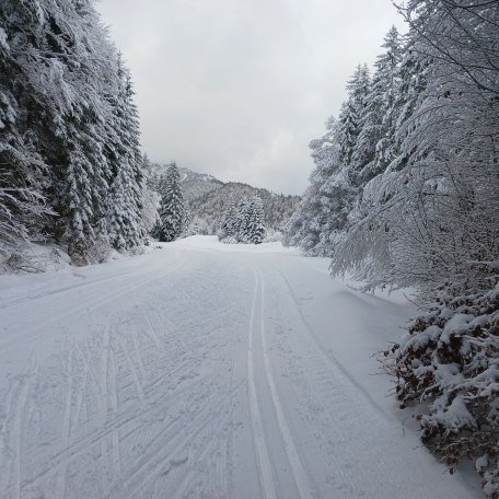 Langlaufloipe Bayrischzell, &copy; im-web.de/ Kur- und Tourist-Info Bayrischzell
