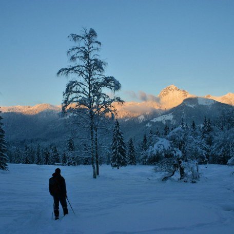 Winter unterm Wendelstein am Klarerhof, © im-web.de/ Kur- und Tourist-Info Bayrischzell