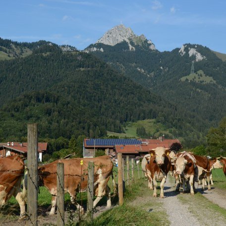 https://images.bs.ds-srv.net/objekt_pics/obj_full_28789_024.jpg, © im-web.de/ Tourist-Information Bayrischzell
