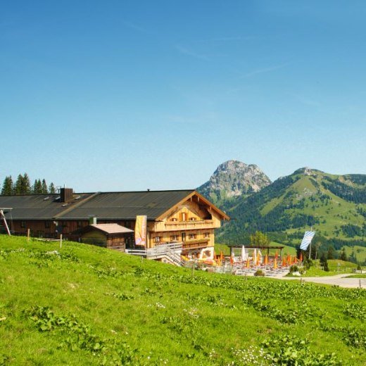Walleralm