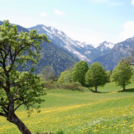 https://d1pgrp37iul3tg.cloudfront.net/objekt_pics/obj_full_28470_002.jpg, © im-web.de/ Tourist-Information Bayrischzell