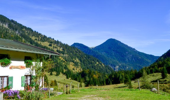 niederhofer-alm niederhofer-alm