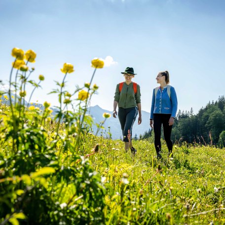 Wandern am Sudelfeld, © im-web.de/ Tourist-Information Bayrischzell