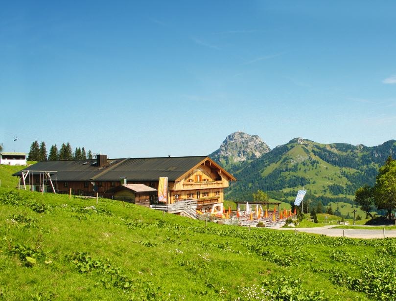 Walleralm