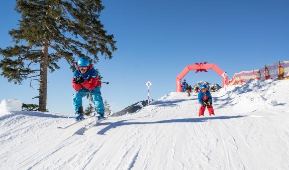 sf_familyactionday_2017_vollert_lowres-3639 sf_familyactionday_2017_vollert_lowres-3639