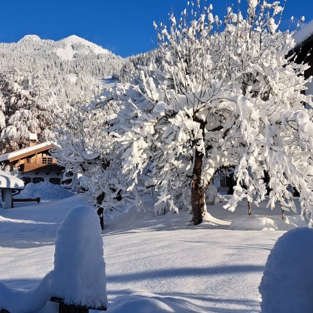 Blick zum Wendelstein, © im-web.de/ Tourist-Information Bayrischzell