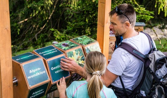 Wendelstein Streifzüge – WM-Gipfelsteig