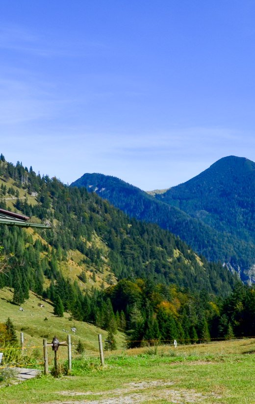 niederhofer-alm