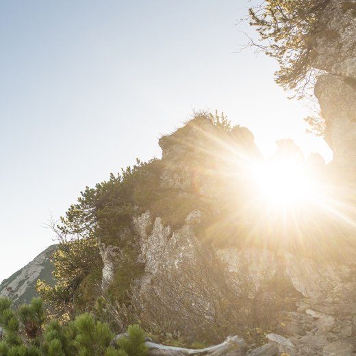 Wetter Bayrischzell, &copy; Peter von Felbert