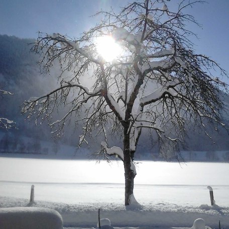Die Loipe vom Haus, © im-web.de/ Tourist-Information Bayrischzell